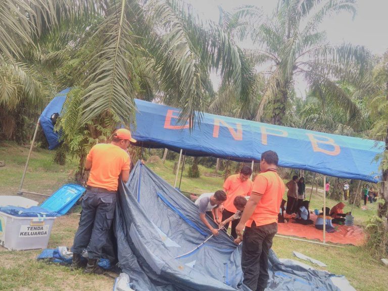 received_684372981912748