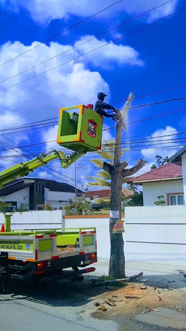 Videoshot_20260218_012821