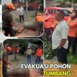 FB_IMG_1792182256553