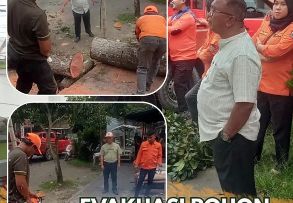 FB_IMG_1792182256553